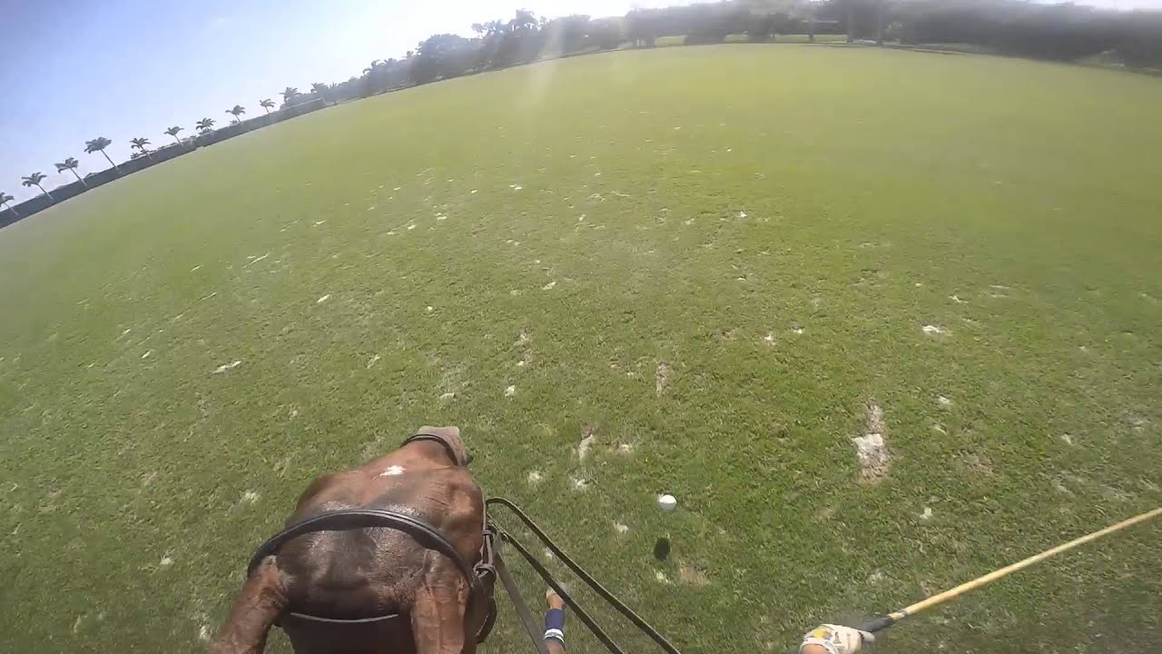 Joaco Taqueo Polo GoPro HERO4