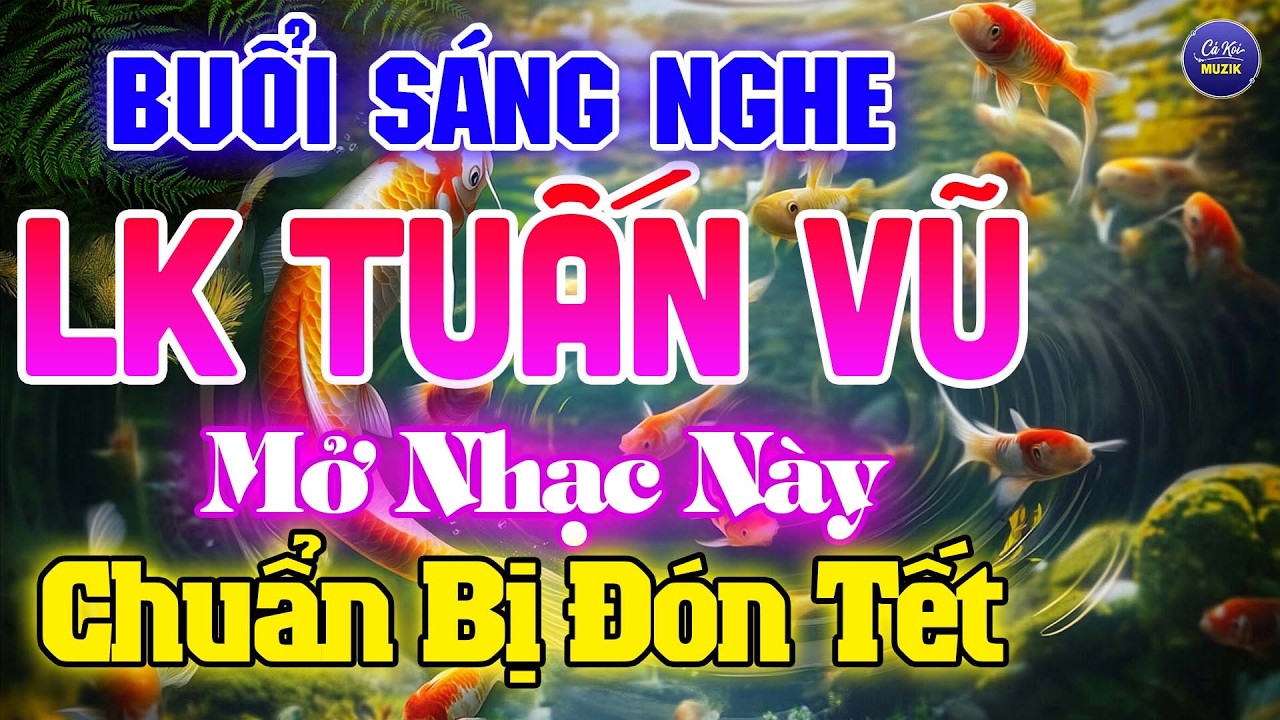 Nhạc Không Lời Bolero LK TUẤN VŨ Thư Giãn CHUẨN BỊ ĐÓN TẾT - Hòa Tấu Nhạc Không Lời Hải Ngoại