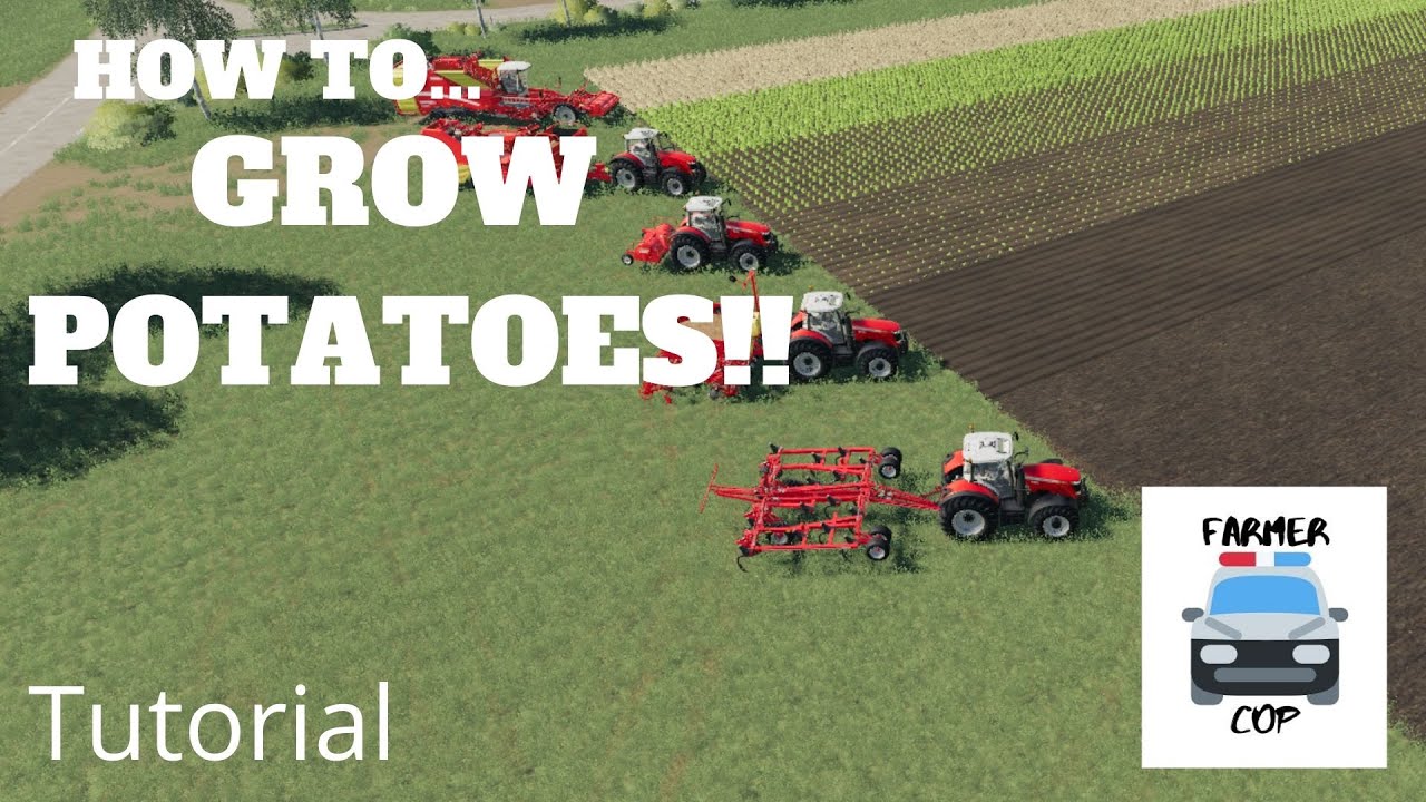 Как выращивать картофель в Farming Simulator 19!!