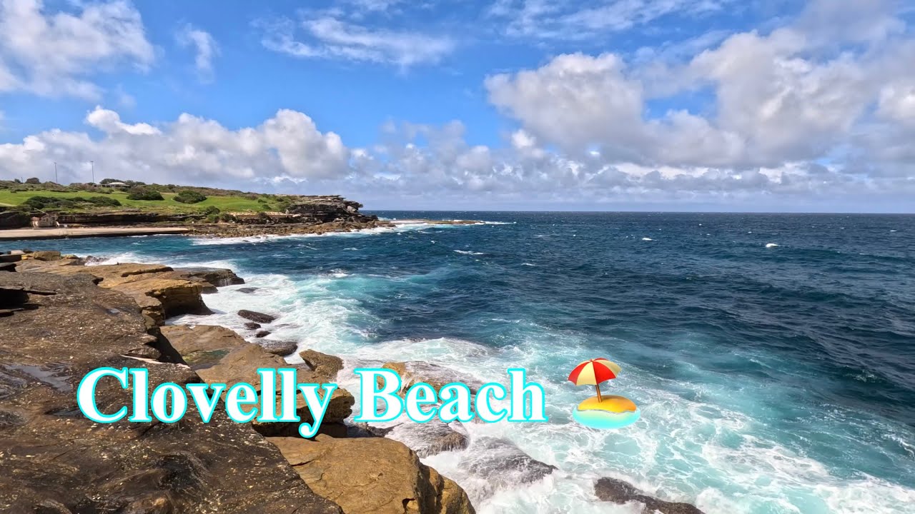 Clovelly Beach: One of Sydney's Beautiful Beaches and the BEST SPRINGTIME EVER!