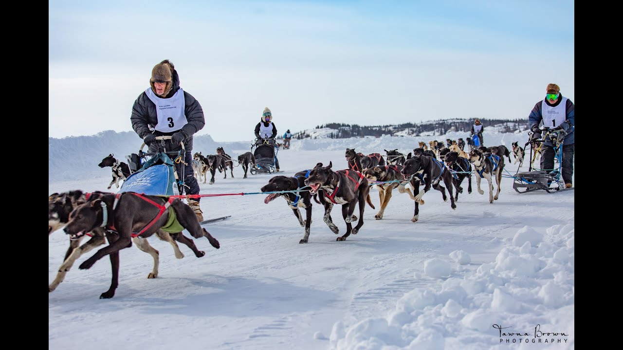 Canadian Championship Dog Derby 2021- Sled Dog Races in Yellowknife, Northwest Territories, Canada