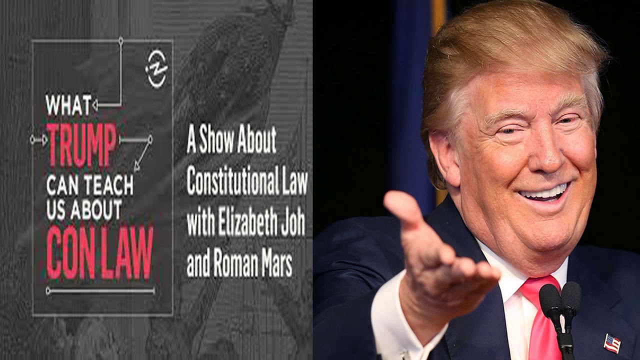 GOVERNMENT & ORGANIZATIONS- Ep.# 29- Birthright Citizenship and the 14th Amendment