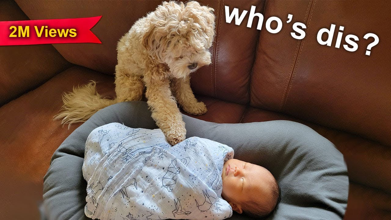 We Came Back with a Baby After 3 Days