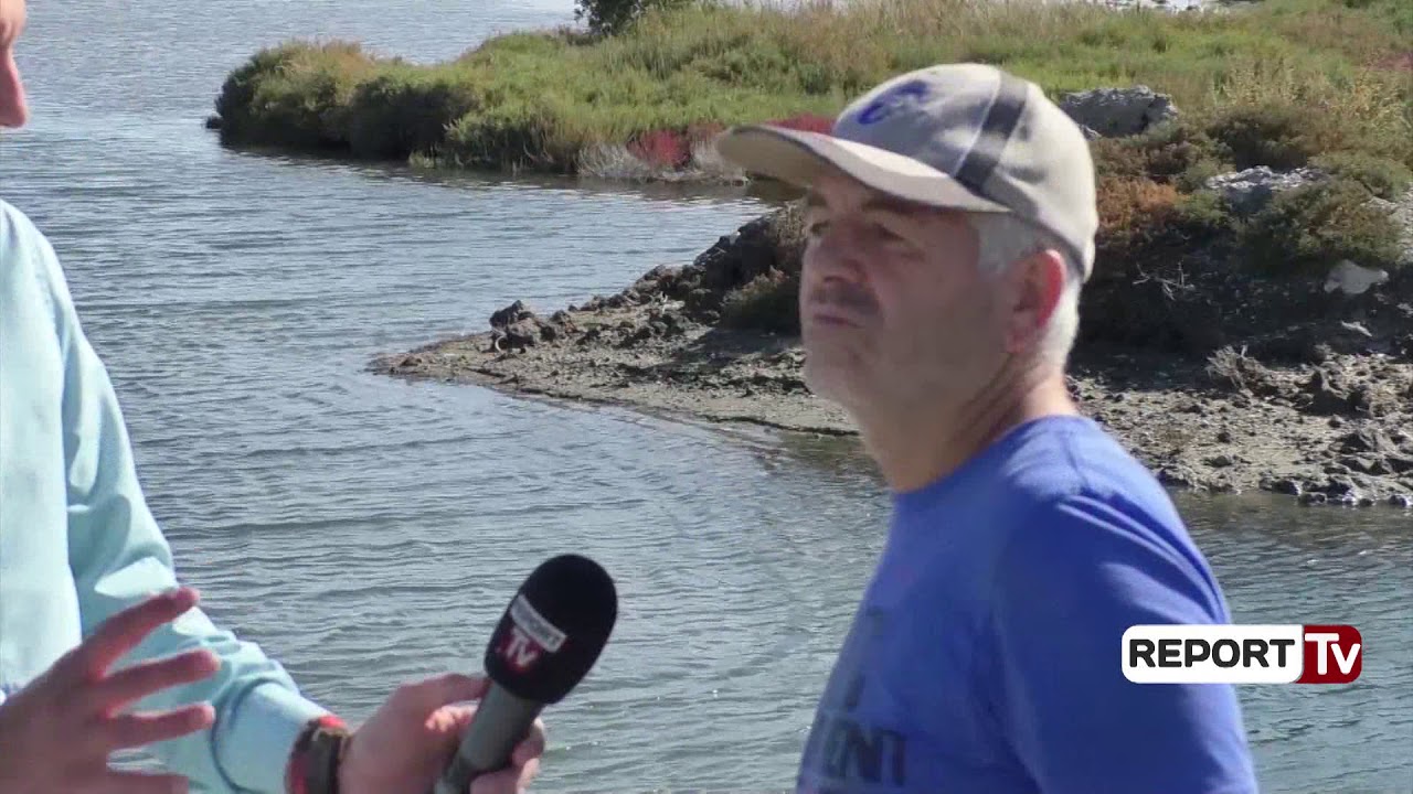 Vijon masakra nga gjuetia e paligjshme në Vlorë/ Peshkatarët: Kemi denoncuar në polici