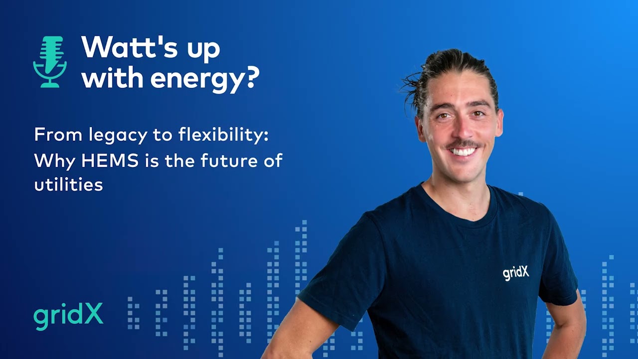 From legacy to flexibility: Why HEMS is the future of utilities