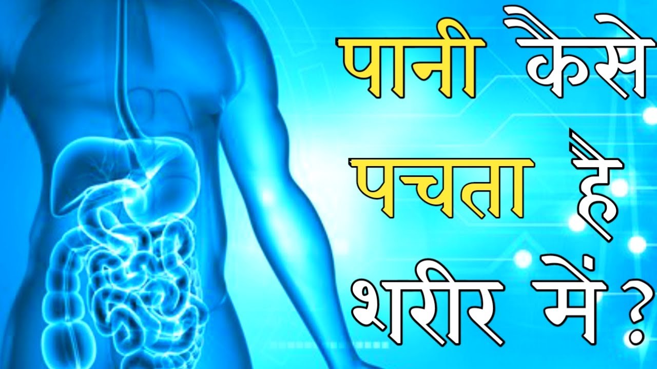 पानी कैसे पचता हैं शरीर में ? How is water digested in the body?