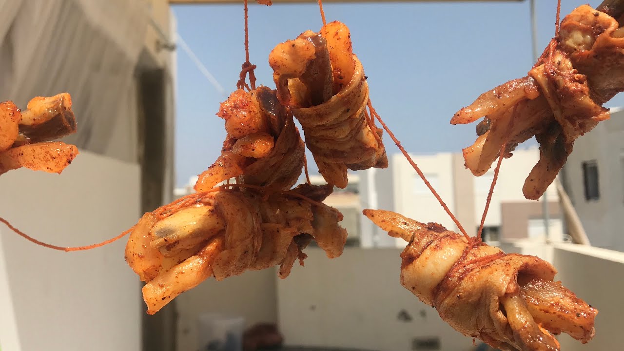 العصبان الشايح التونسي العصبان الغاوي الساحلي