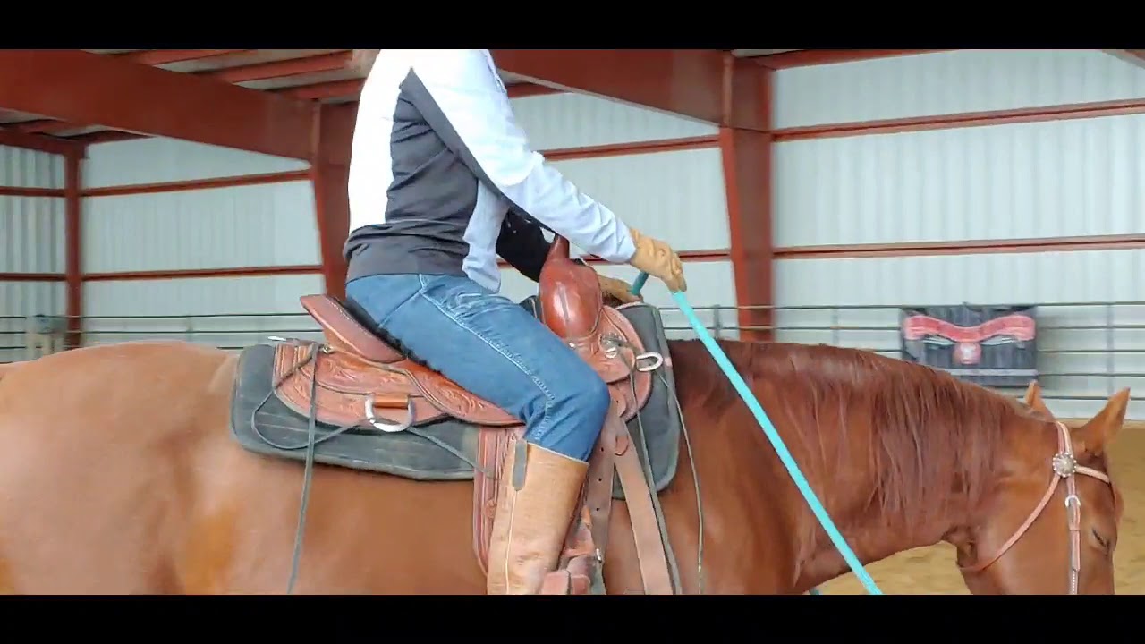 Daily Dose of Horsemanship Homework #4, Turning Aids