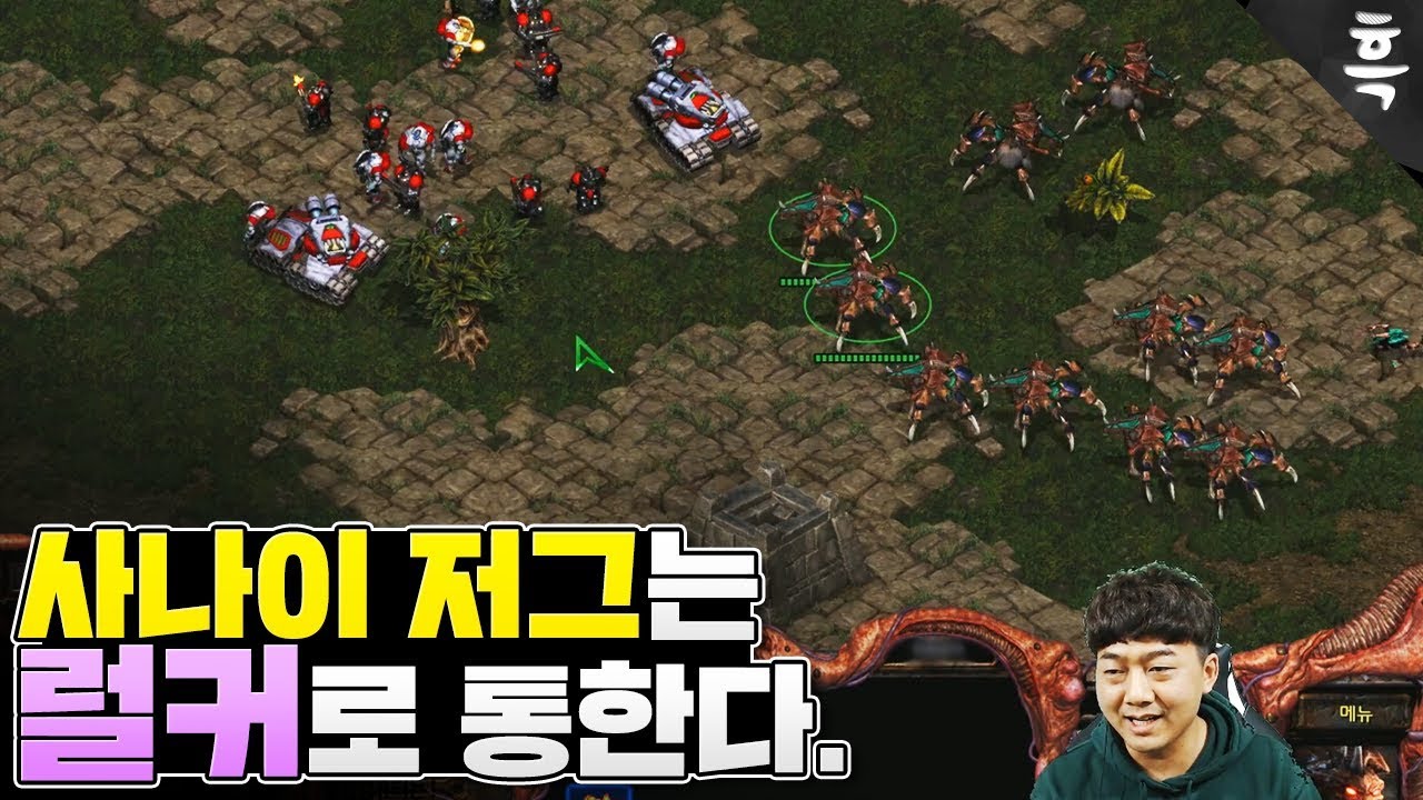 사나이 저그는 뭐다? 럴.커.다.