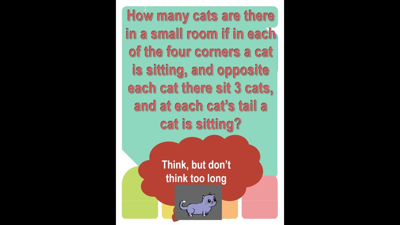 The catty affair  