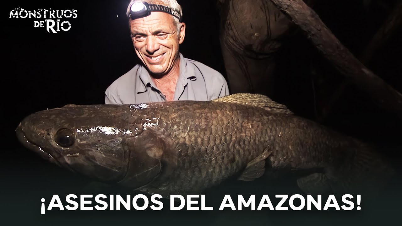 El Asesino de la Selva: Monstruos del Amazonas | Monstruos de R&iacute;o