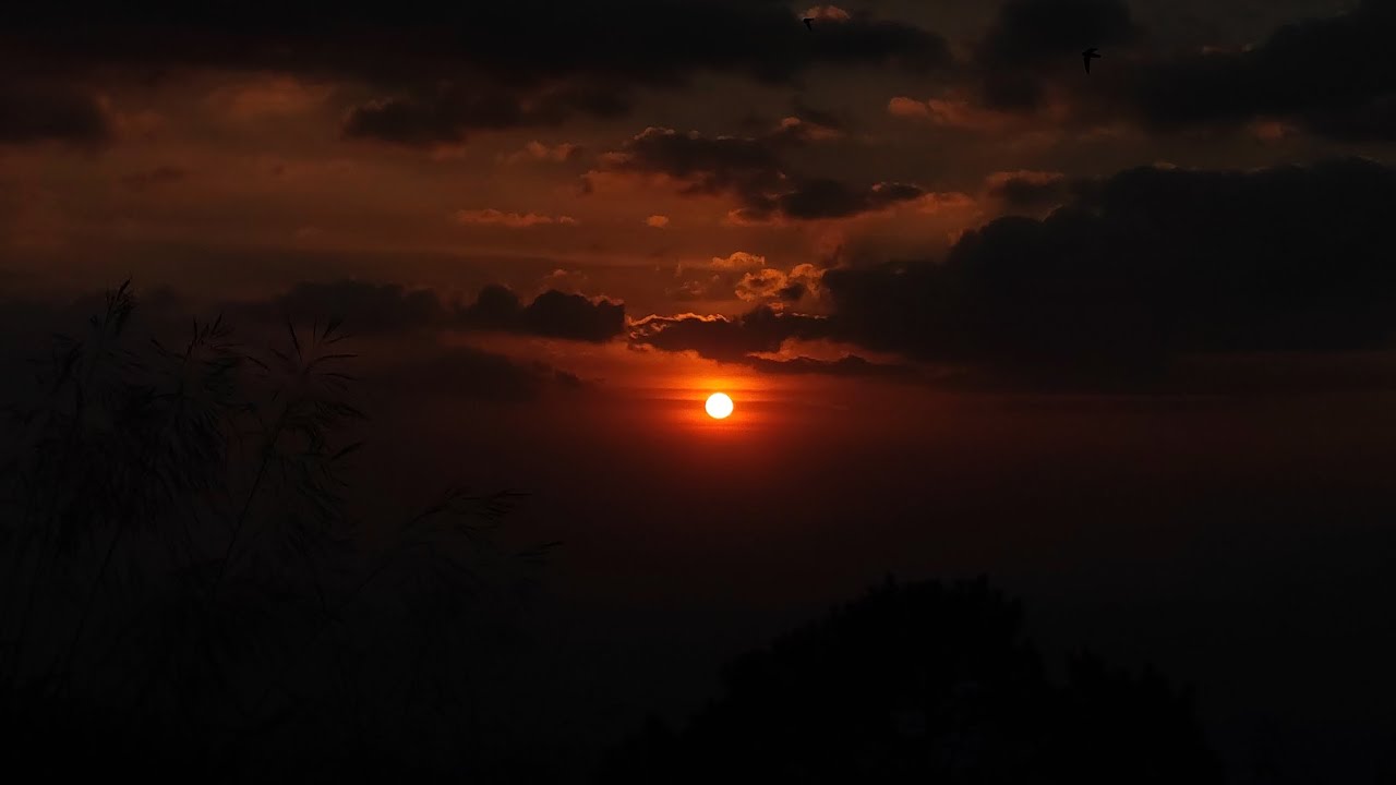 Tà Năng - Phan Dũng 2026 lưu giữ kỷ niệm #nature #travel #camping #wild #adventure #trekking #tanang