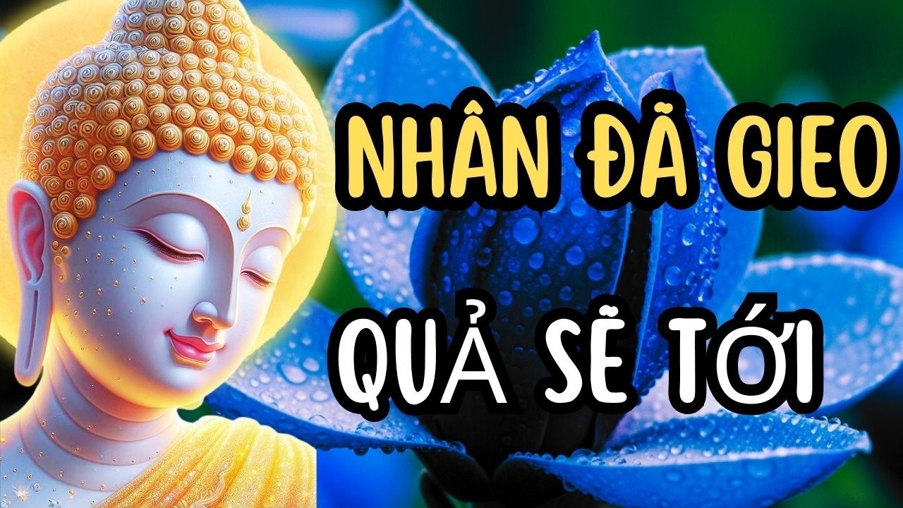 Nhân Đã Gieo, Quả Nhất Định Sẽ Tìm Đến