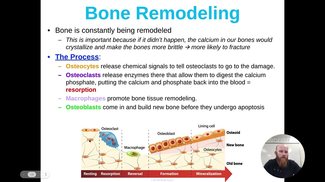 [09] Unit 2, Lesson 4 Presentation