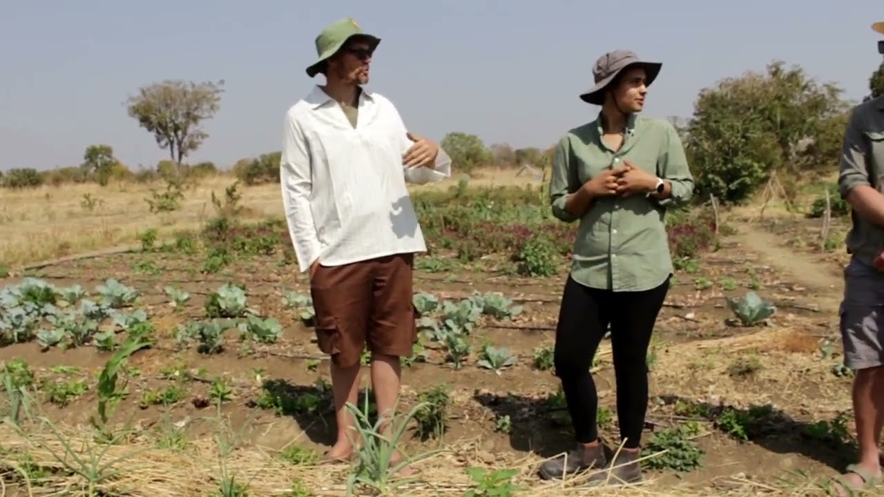 From Depleted Soil to Organic Abundance – Niya & Kai’s Market Garden