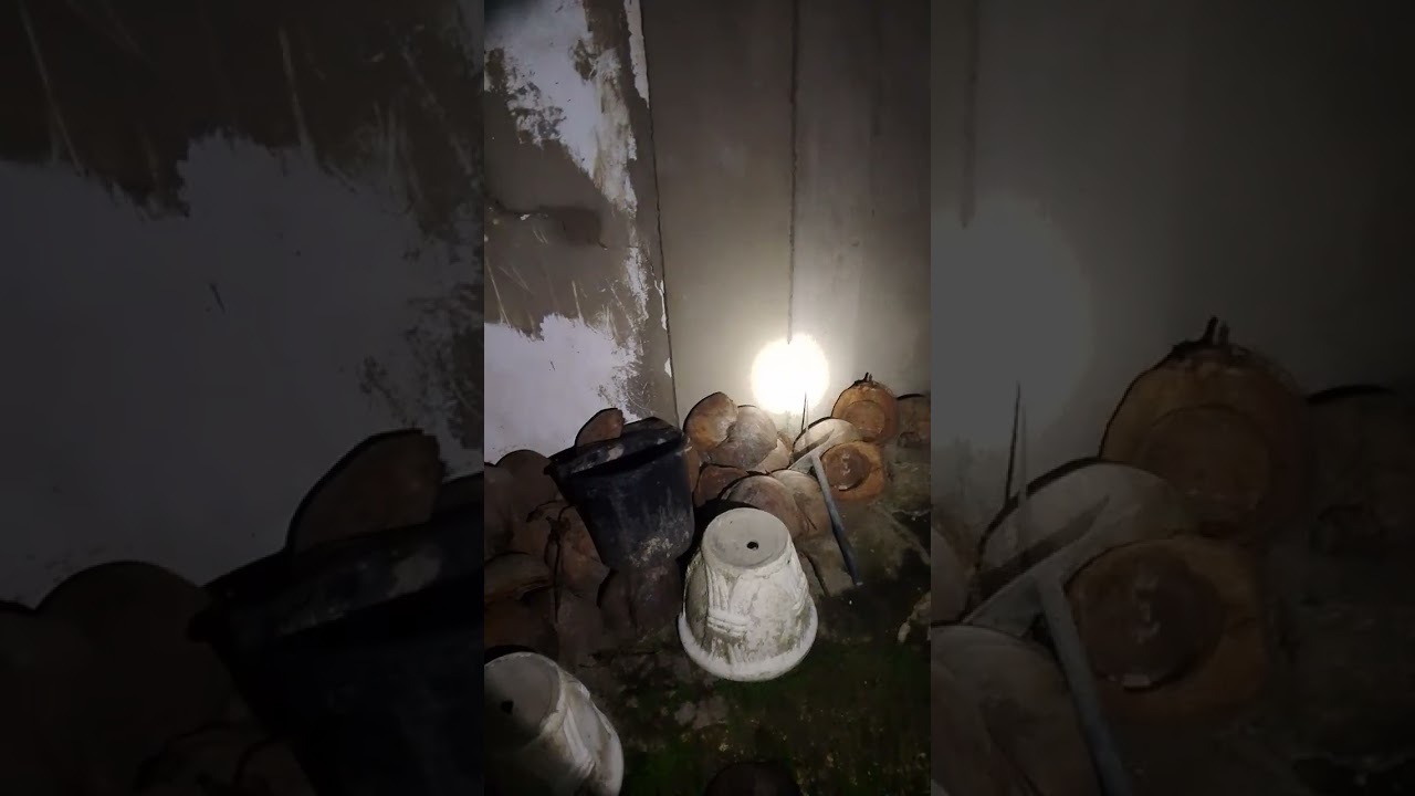 Linog sa bogo Kong saan 6.9 Ang tumama at kami na kapitbahay lang at ito Ang nagyari sa amin.