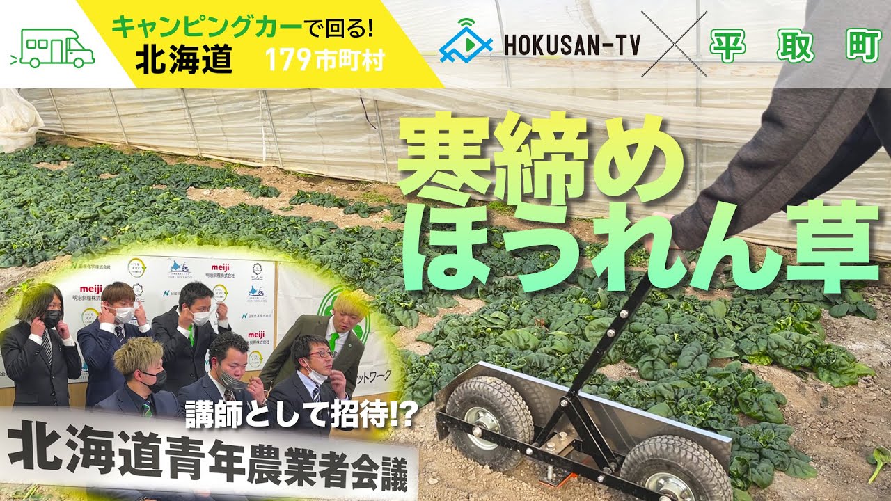 【平取町】北海道青年農業者会議の裏側と平取町の冬名物『寒締めほうれん草』from 4Hクラブ～北海道キャンピングカー冒険 146/179市町村