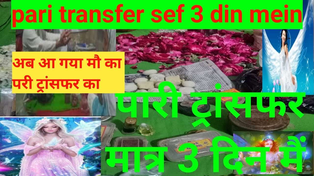 Pari Transfer | Pari Transfer #परी ट्रांसफर#@बाबा कासिम खान