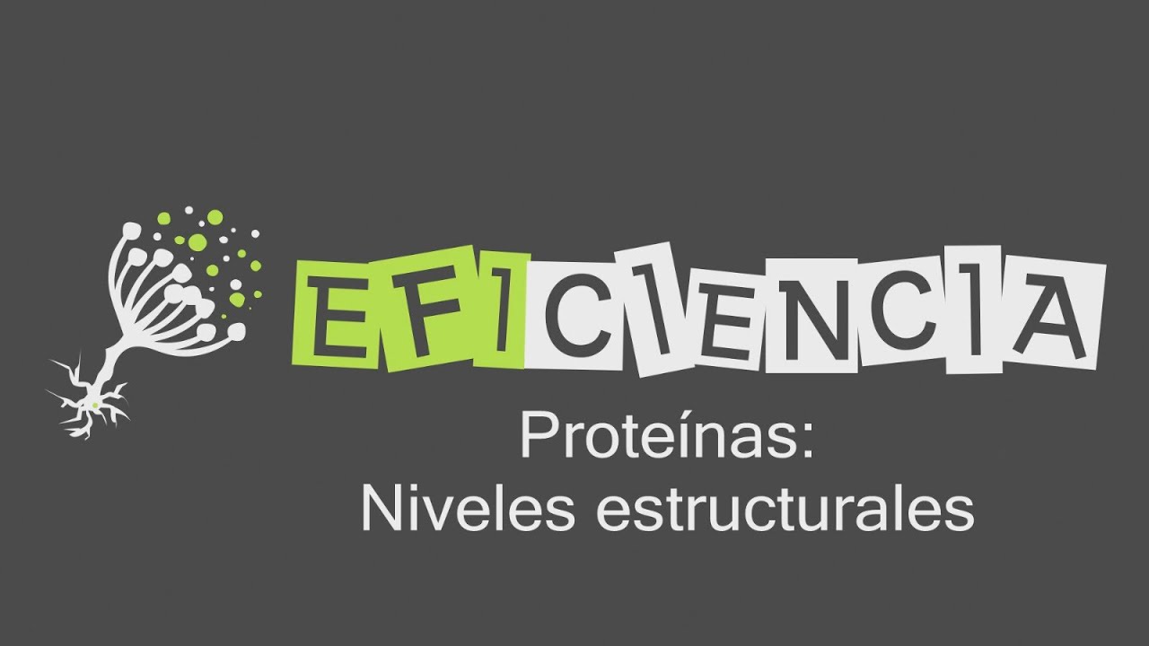 PROTE&Iacute;NAS: NIVELES ESTRUCTURALES. Estructura Primaria Secundaria Terciaria Cuaternaria