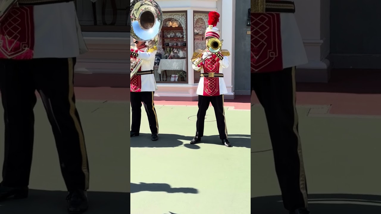 ディズニーランドバンド