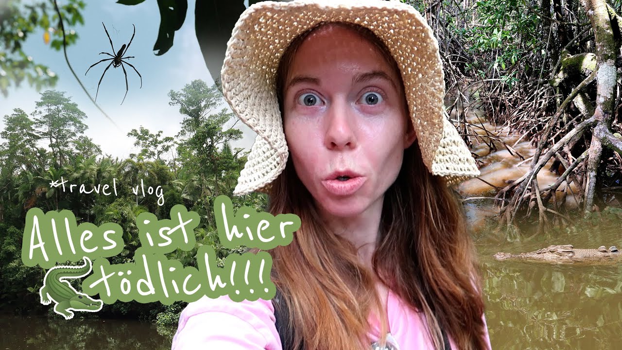 Regenwald-Abenteuer! 🌿🐊 Wasserfälle, Krokodile & Natur pur in Australien