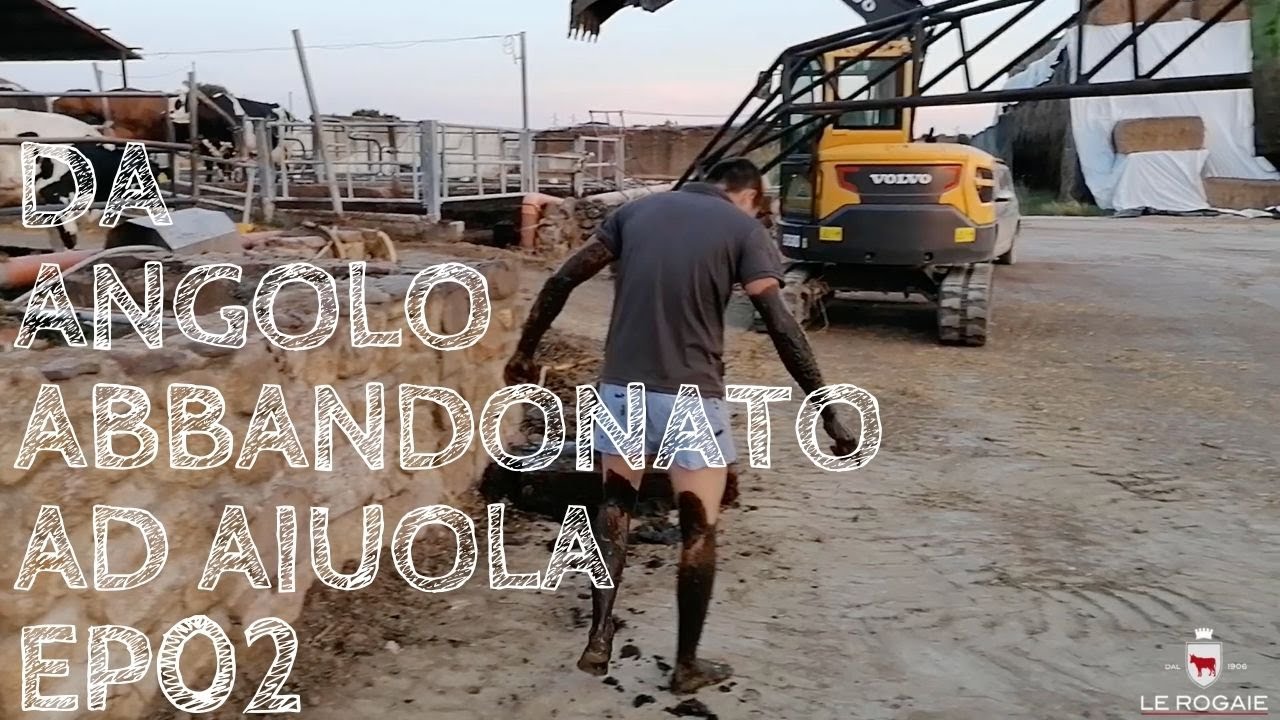 Da angolo abbandonato ad aiuola - From junkyard to flowerbed SUB ENG - EP02🇬🇧