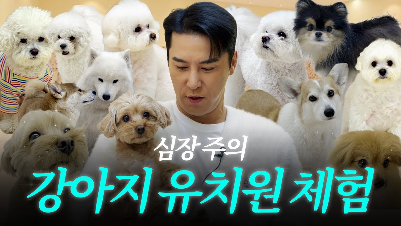 반려견들의 천국! 애견 유치원+호텔 체험ㅣ장하다 장민호 EP.09