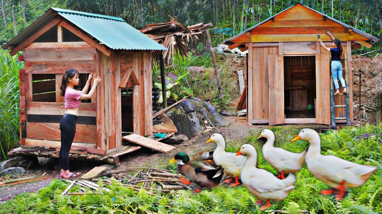 2 years living in the forest P2: build a house, make a farm, bring vegetables to the market to sell