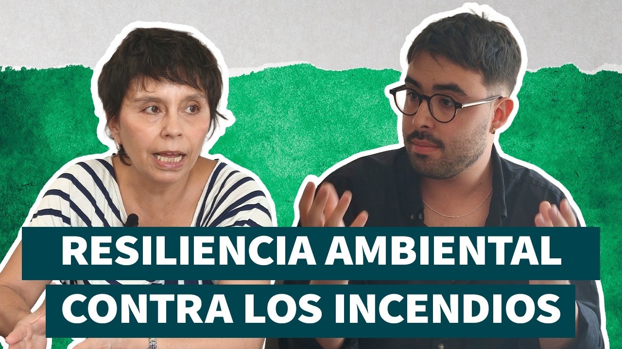 Forestales plantan MONOCULTIVOS hasta límite de CASAS y no hay ley que lo impida con Pilar Moraga