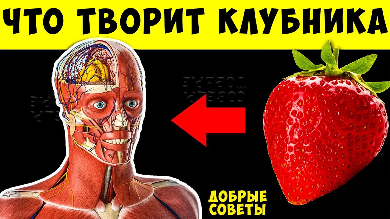 Вот что творит КЛУБНИКА с телом! 99% употребляющих НЕ ЗНАЮТ об этом!