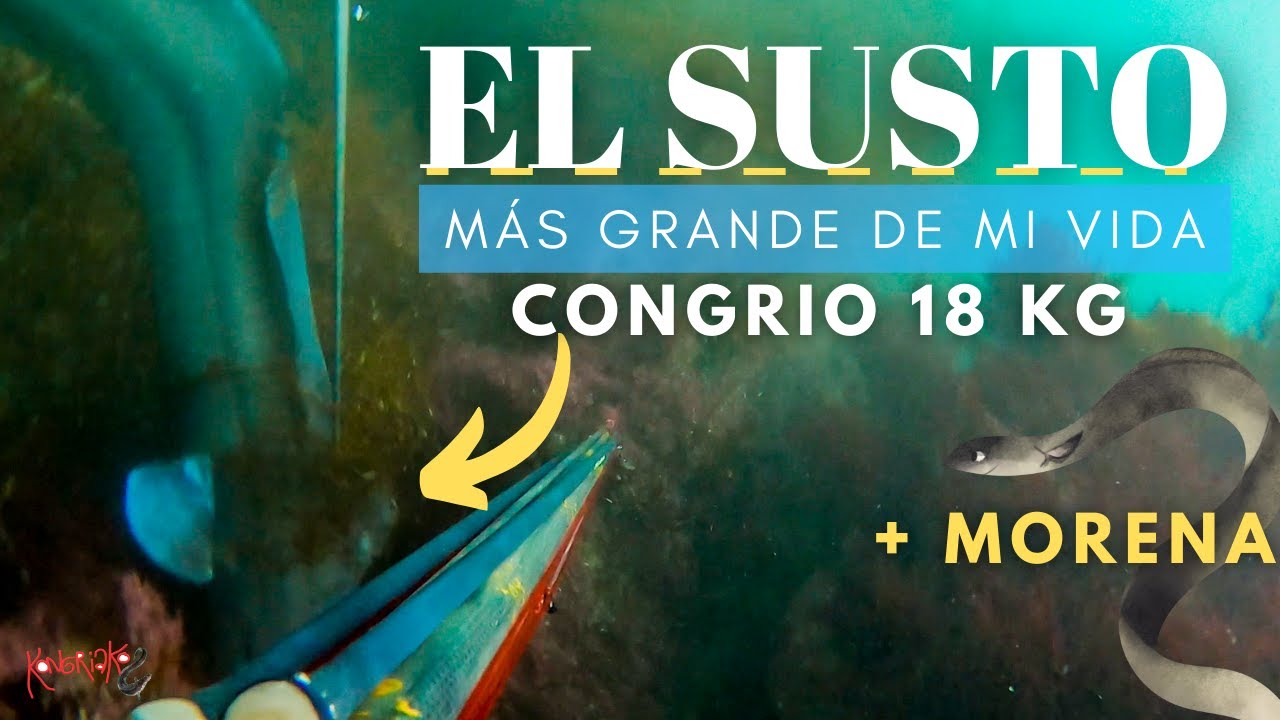 😱PESCA SUBMARINA el SUSTO de mi VIDA⚠️CONGRIO 18 Kg [Capturo mi PRIMERA MORENA]