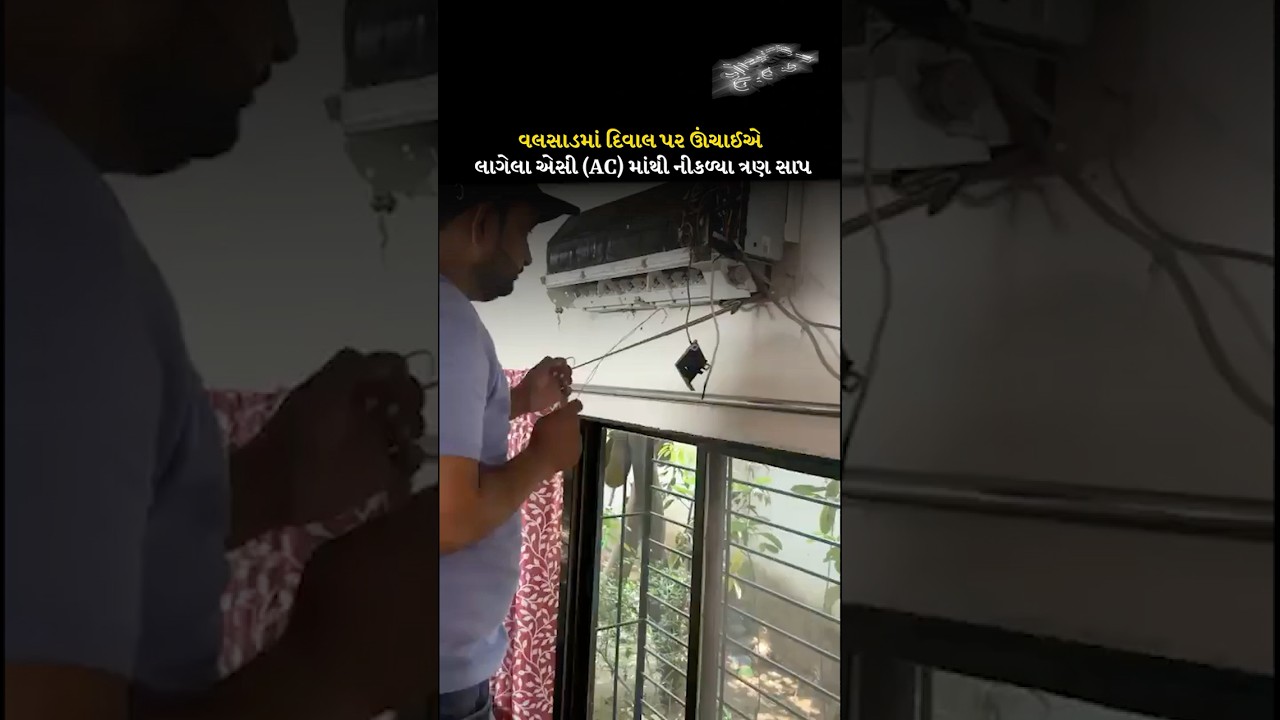 VALSAD |વલસાડમાં દિવાલ પર ઊંચાઈએ લાગેલા એસી (AC) માંથી નીકળ્યા ત્રણ સાપ