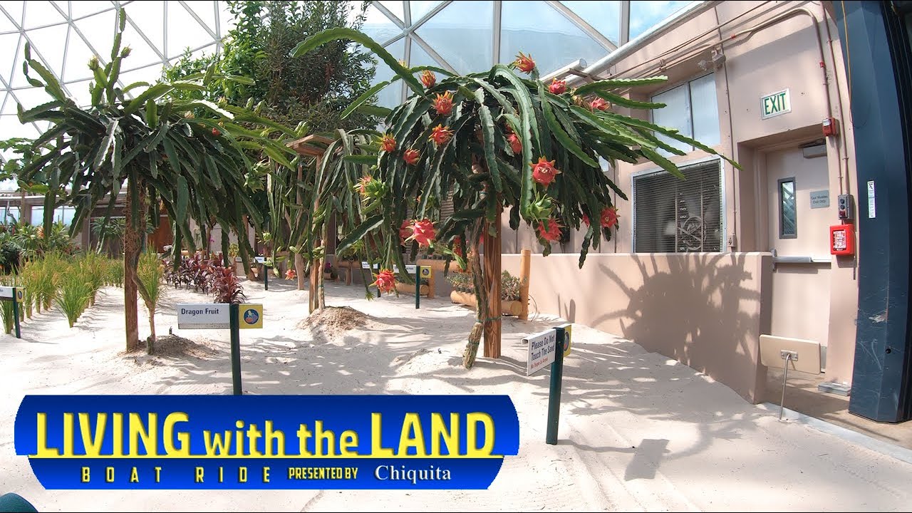 Living With the Land - Full Ride 2020 - Epcot Disney World [⁴ᴷ⁶⁰]