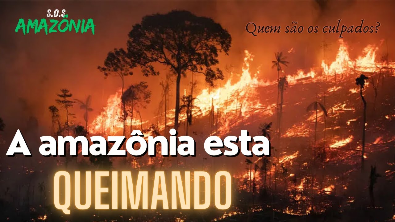 S.O.S Amazônia