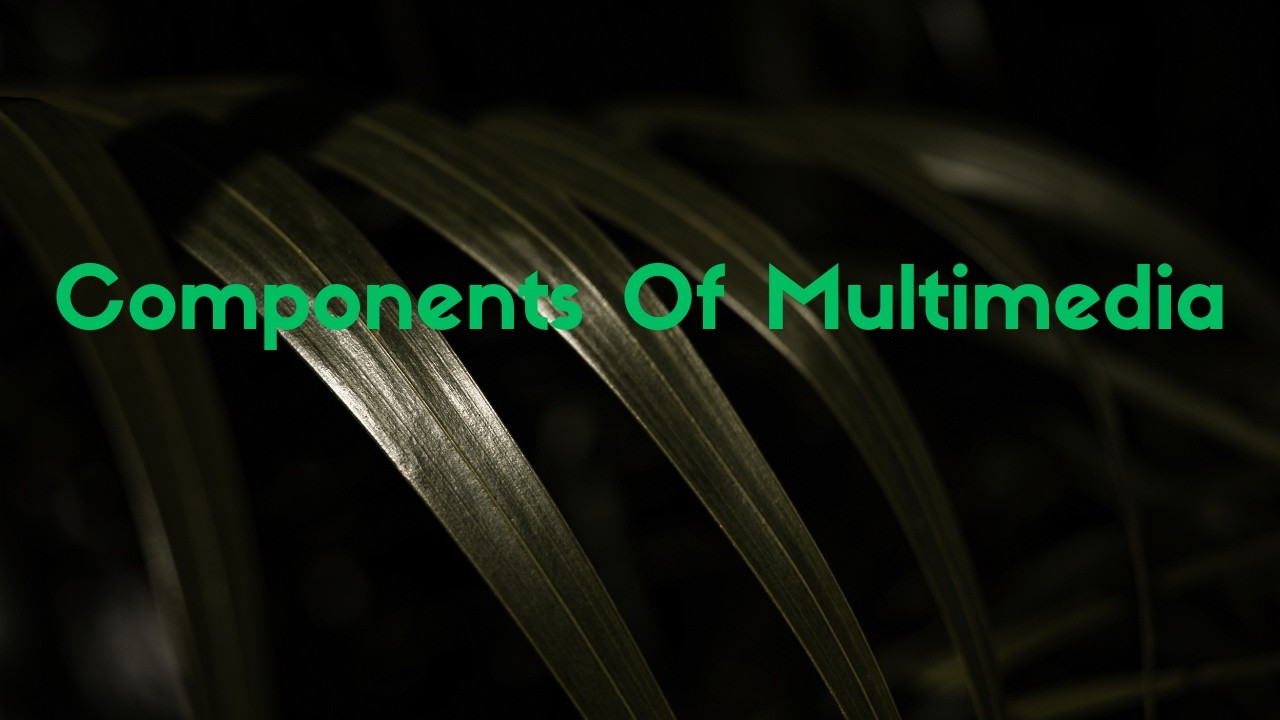 Information Technology Grade 10 Unit 4: Components of Multimedia