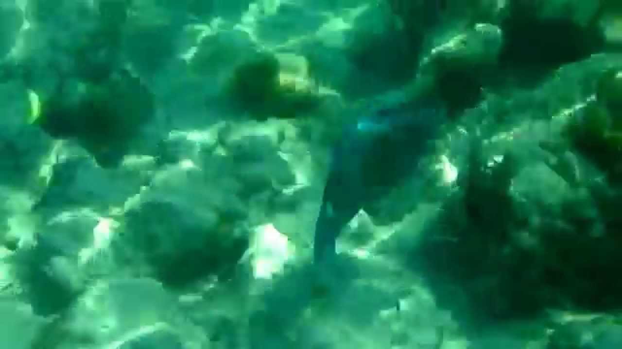 Turks and cacios