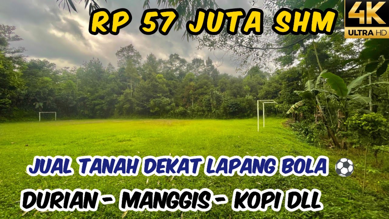 Dijual Murah Tanah Kebun Durian Manggis 890 m2 SHM Rp 57 Juta Bojong Purwakarta Dekat Lapangan Bola
