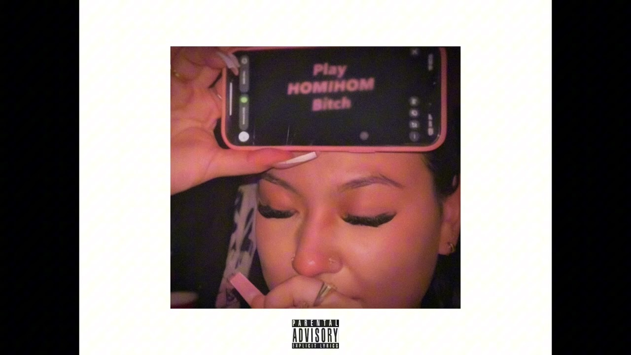 HOMIHOM - 2k16Plug