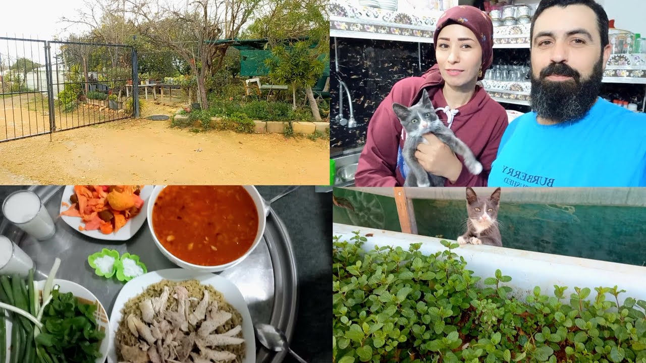 روتين البيت أجواء مطر⛈️ عملت فصوليه 🥰حب و فريكة 