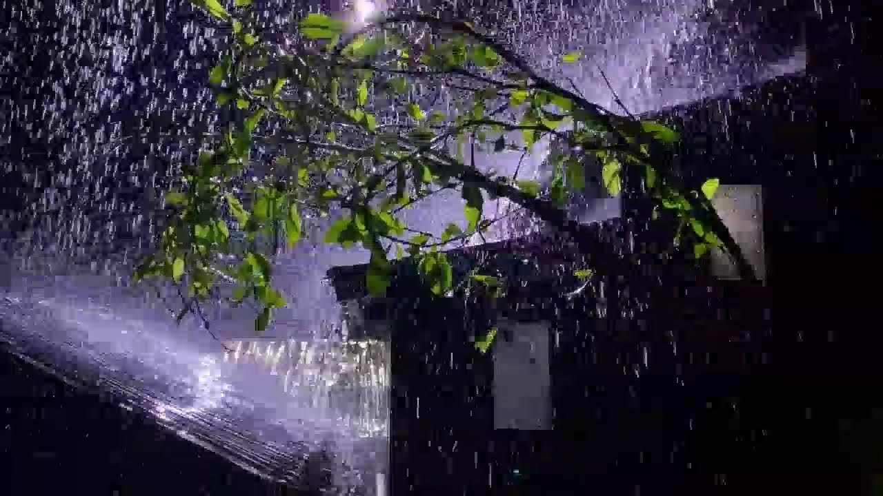 Heavy Rain on Tin Roof 🌧️ Fall Asleep Instantly
