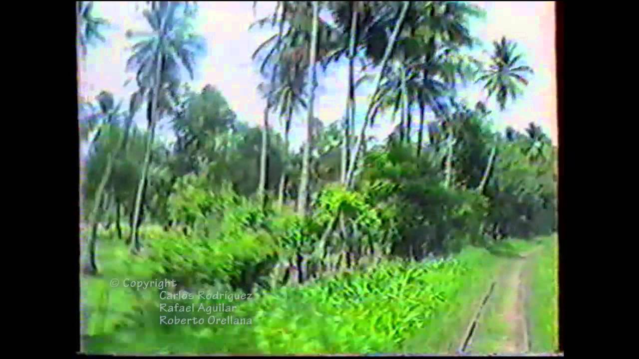 Tren Sonsonate