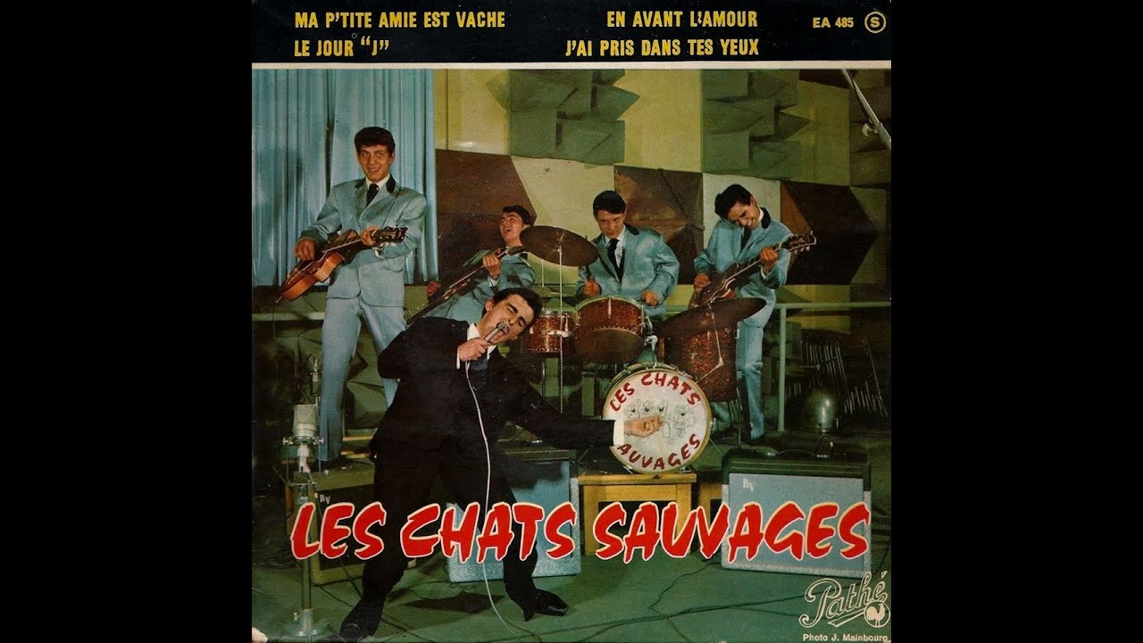 Les Chats Sauvages : Six belles chansons.     ( B.B. le 04/10/2024 )