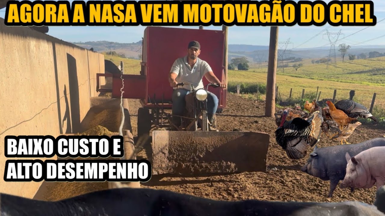 A MELHOR INVENÇÃO PRA QUEM TRABALHA COM GADO 