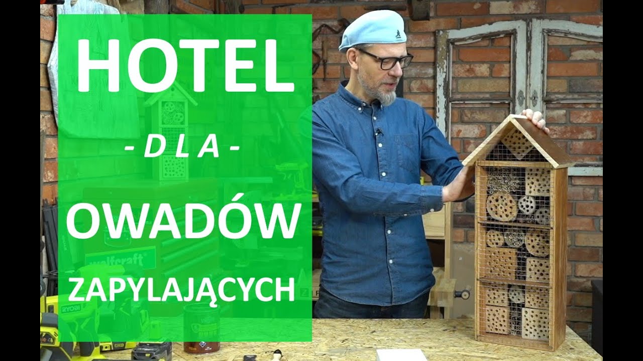 Jak zrobić hotel dla owadów zapylających?