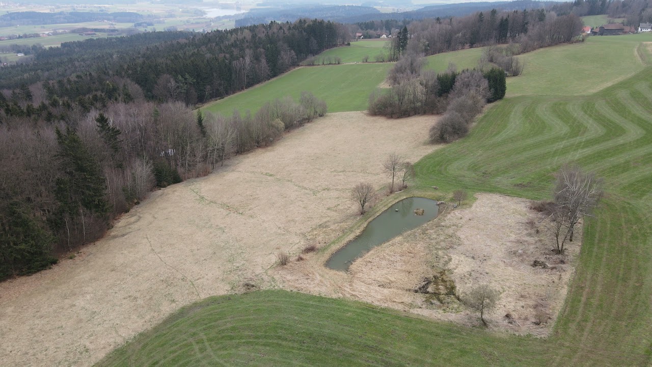 Altenschneeberg - Tiefenbach Oberpfalz Luftaufnahme in 4K