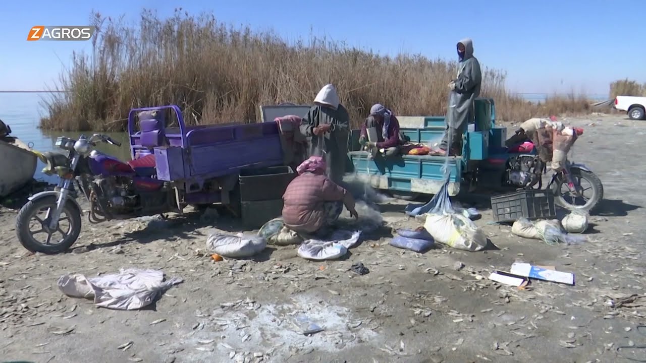 تأثير الملوحة والتلوث على بحيرة الرزازة في العراق