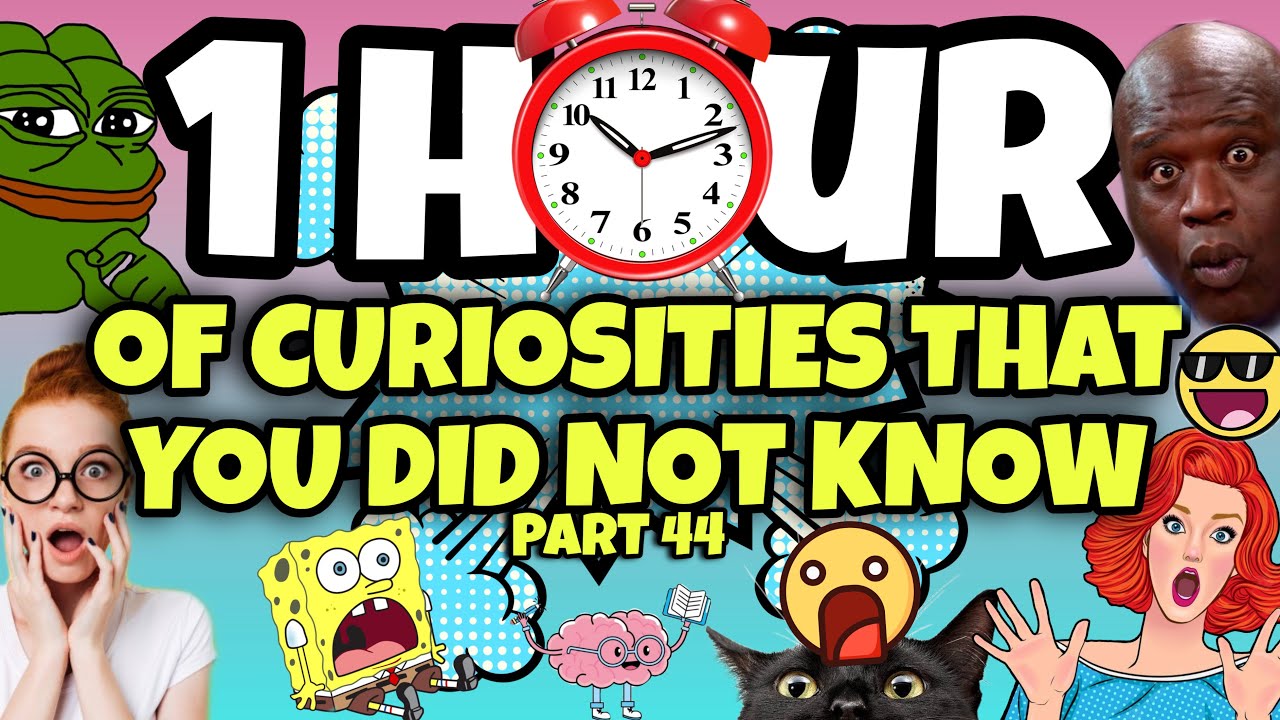1 HOUR OF CURIOSITIES AND THINGS YOU DIDN'T KNOW 🧠⏰ #44