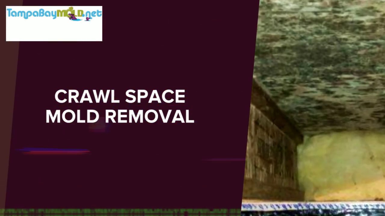 Crawl Space Mold Removal Tampa Bay 813-358-4766 TampaBayMold.net
