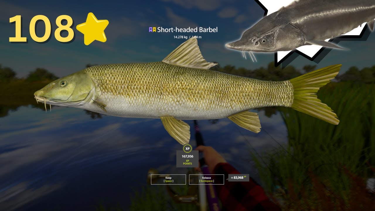 TROPHY SHORT-HEADED BARBEL IN AKHTUBA RIVER! Russian fishing 4