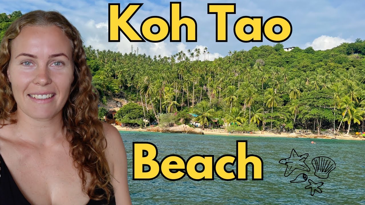 Private Snorkeling Tour & Rooftop Dinner in Koh Tao - Thailand Vlog